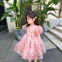 RiniLucia 2023 New Summer Baby Girl Dress Floral Print Cute Princess Dress Children Kids Party Dresses Girls Clothes Vestido