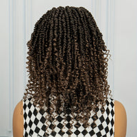 Braids Wig Curly Braids Wig Synthetic Lace Wig Beginners Friendly Heat Resistant Wig For Women