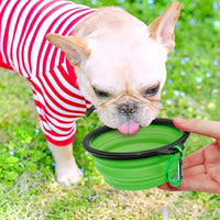 Portable Foldable Pet Bowl with Black Frame, 11.83oz TPR Dog Food Dish for Outdoors
