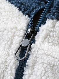 Warm Plush Fleece Jacket, Men's Casual Color Block Stand Collar Jacket Coat For Fall Winter
