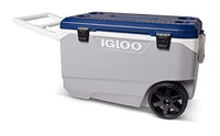 Igloo Maxcold Latitude 90 Roller (Ash Gry.Wht.Aegean Sea.Blk) 00034818