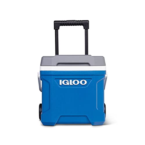 Igloo Latitude 16 Roller (Indigo Blu.Wht.M-Gray.Wht) 00034825