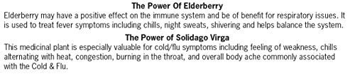 Forces of Nature Natural and Organic Cold Maximum Strength 10ml Non Drowsy Non Addictive Non GMO Relief Chills Body Aches Congestion, White, 0.34 Fl Oz