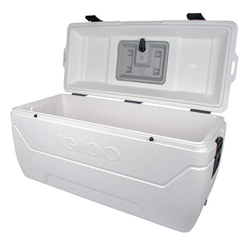 Igloo Contour Maxcold Cooler, 165 quart/156 L, White