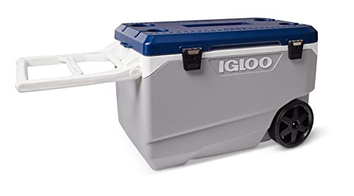 Igloo Maxcold Latitude 90 Roller (Ash Gry.Wht.Aegean Sea.Blk) 00034818