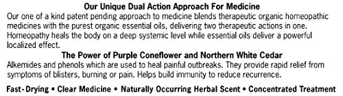 Forces of Nature – Natural, Organic, H-Balm Control Extra Strength Cold Sore, Fever Blister Treatment (11ml) Non GMO, No Harmful Chemicals -Fast Relief for Tingling, Burning and Itching Pain.