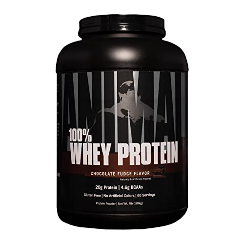 Animal 100% Whey Protein Powder – Whey Blend for Pre- or Post-Workout, Recovery or an Anytime Protein Boost– Low Sugar – Chocolate, 4 lb (Packaging may vary)