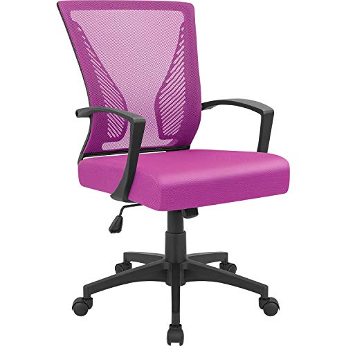 Furmax Office Chair Mid Back Swivel Lumbar Support Desk Chair, Computer Ergonomic Mesh Chair with Armrest (Pink)