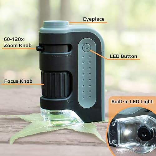 Carson MicroBrite Plus 60x-120x LED Lighted Pocket Microscope for Kids, Portable Handheld Microscope for Adults, Mini Microscope for Student Science Lab, STEM Educational Portable Microscope (MM-300)