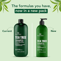 Botanic Hearth Tea Tree Shampoo, Vitamin C, Peppermint, Lavender and Rosemary Oil, Fights Dandruff and Dry Scalp, 16 fl oz