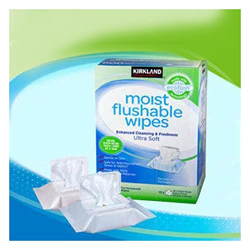 Kirkland Signature Moist Flushable Wipes, 632 Wipes