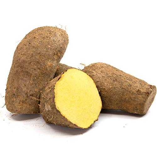 Angel Delite by Bae Yellow Yam Jamaican, 40 Pound Box