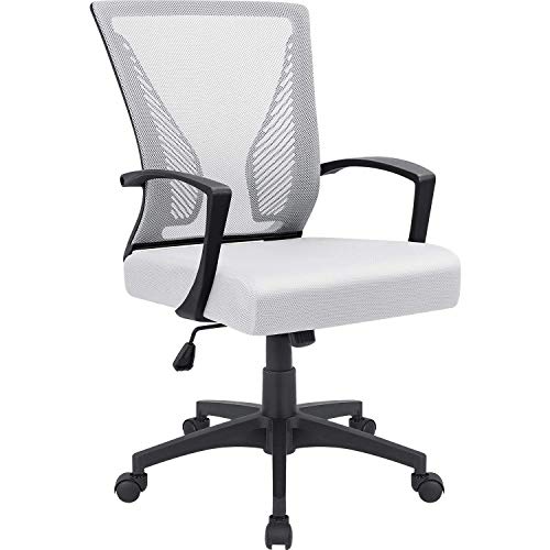 Furmax Office Chair Mid Back Swivel Lumbar Support Desk Chair, Computer Ergonomic Mesh Chair with Armrest (White)