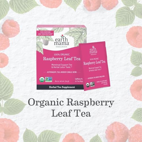 Earth Mama Organic Raspberry Leaf Tea Bags | Labor Tonic & Menstrual Support Herbal Tea, Red Raspberry Leaf Tea for Pregnancy & Postpartum Care Recovery, Caffeine Free Tea, Non GMO, (16 Teabags, 3-Pk)