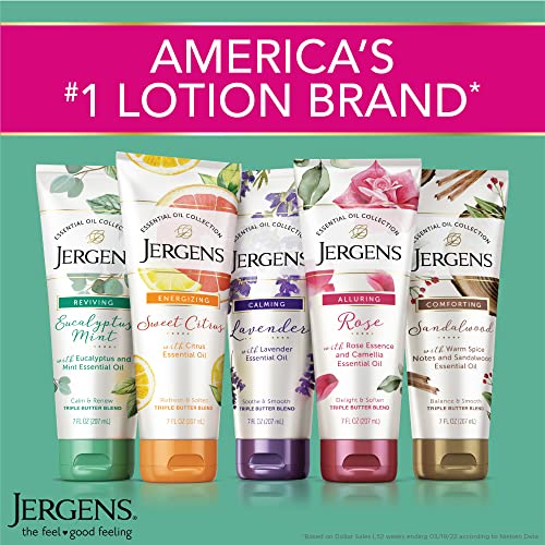 Jergens Lavender Body Butter Hand and Body Lotion, Moisturizer for Women, with Essential Oils for Indulgent Moisturization, 7 Ounce (Pack of 3)