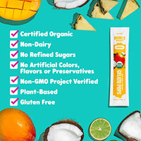 DeeBee's Organics Non-Dairy Gelato Pops, Creamy Freezer Pops made with Coconut Milk, No Refined Sugar, No Artificial Flavors or Colors (Pack of 20)