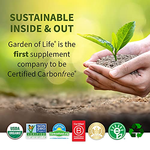 Garden of Life Sport Whey Protein Powder Chocolate, Premium Grass Fed Whey Protein Isolate Plus Probiotics for Immune System Health, 24g Protein, Non GMO, Gluten Free, Cold Processed - 20 Servings