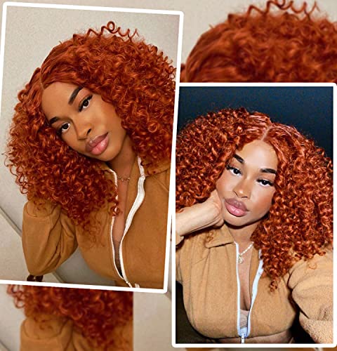 Annivia Lace Front Curly Wigs for Black Women Ginger Short Curly Lace Front Wig Pre Plucked with Babyhair, Natural Looking Synthetic Kinky Afro Short Curly Frontal Hair Wig 16inch（Ginger,13×4）
