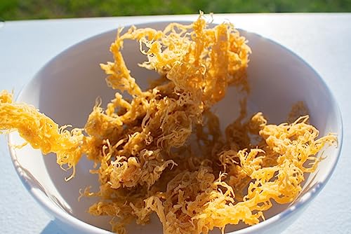 Angel's peel lounge 100% Jamaican Irish Sea Moss Natural - Non GMO No Preservatives | Organic | Vegan | Hand Picked | Sun Dried | Makes Perfect Gel Cell Food for Immune (16 fl oz)