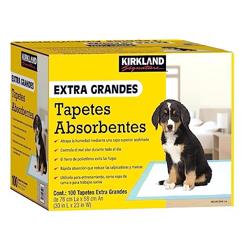 Kirkland Signature Extra-Large Absorbent Pads, 100 Large Pads, 30x23 (Original Version)