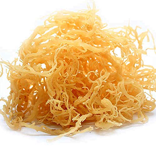 Angel's peel lounge 100% Jamaican Irish Sea Moss Natural - Non GMO No Preservatives | Organic | Vegan | Hand Picked | Sun Dried | Makes Perfect Gel Cell Food for Immune (16 fl oz)