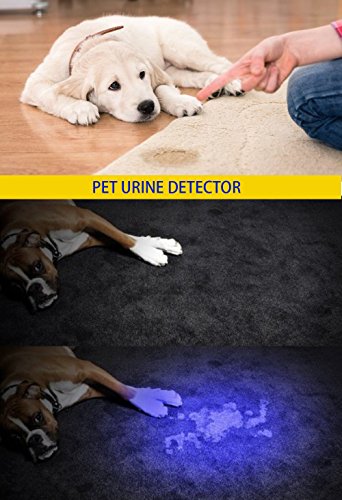 DARKBEAM UV 365nm Light Wood's lamp Blacklight Ultraviolet Flashlight LED Portable Mini Handheld Torch Detector for Dog Urine Pet Stains 370nm Anti-counterfeiting Identification, Resin Curing