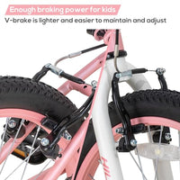 Hiland 20 Inch Kids Mountain Bike for Boys, Girls, Single Speed Kids Bicycles with V Brake and Kickstand Pink