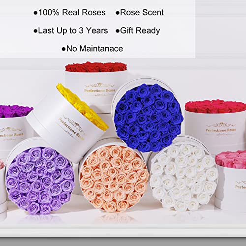 Perfectione Roses Forever Real Roses in a Box, Preserved Rose That Last Up to 3 Years, Flowers for Delivery Prime Birthday Valentines Day Gifts for Her, Mothers Day Flower (Light Purple)