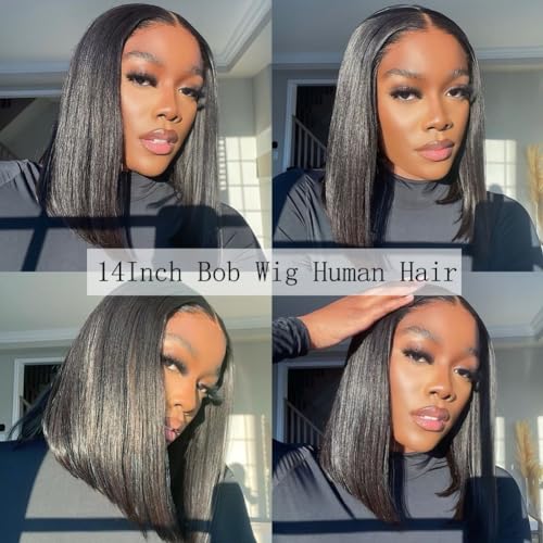 Superfect Bob Wig Human Hair 13x4 HD Lace Front Wigs Pre Plucked Straight Lace Frontal Glueless Short Bob Wigs for Women Wig Natural Black Color(14 Inch, Bob Wig)