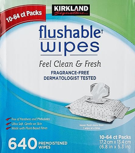 Kirkland Signature Moist Flushable Enhanced Cleansing & Freshness Ultra Soft Hypoallergenic Plant-Based Wipes - 640 Count