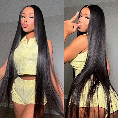 Ossilee Straight Lace Front Wigs Human Hair Pre Plucked 180% Density 13x4 HD Transparent Lace Frontal Wigs for Black Women Glueless 10A Brazilian Virgin Human Hair Wig Natrual Hairline (18 Inch)