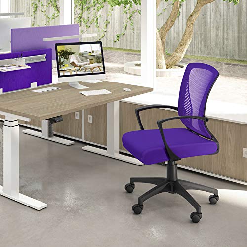 Furmax Office Chair Mid Back Swivel Lumbar Support Desk Chair, Computer Ergonomic Mesh Chair with Armrest (Purple)