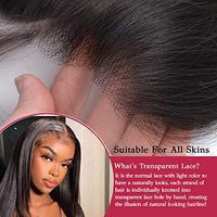 Ossilee Straight Lace Front Wigs Human Hair Pre Plucked 180% Density 13x4 HD Transparent Lace Frontal Wigs for Black Women Glueless 10A Brazilian Virgin Human Hair Wig Natrual Hairline (18 Inch)