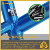 Royalbaby Kids Bike Boys Girls Freestyle BMX Bicycle with Training Wheels Kickstand Gifts for Children Bikes 16 Inch Blue