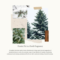 Thymes Frasier Fir Pine Needle Candle - Highly Scented Candles for a Luxury Home Fragrance - Holiday Candles with a Forest Fragrance - Single-Wick Candle (6.5 oz)