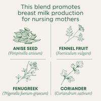 Traditional Medicinals Tea, Organic Mother's Milk, Promotes Healthy Lactation, Breastfeeding Support, 32 Tea Bags