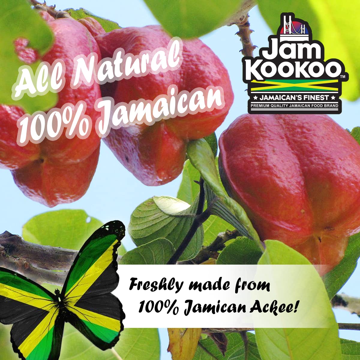 Jam KooKoo Canned Jamaican Ackee in Salted Water, Natural Flavors for Traditional Dish, Staple Part of Jamaican Cuisine with Saltfish, 19 ounce