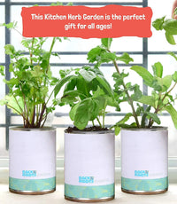 Back to the Roots New Kitchen Garden Complete Herb Kit Variety Pack of Basil, Mint, and Cilantro Seeds