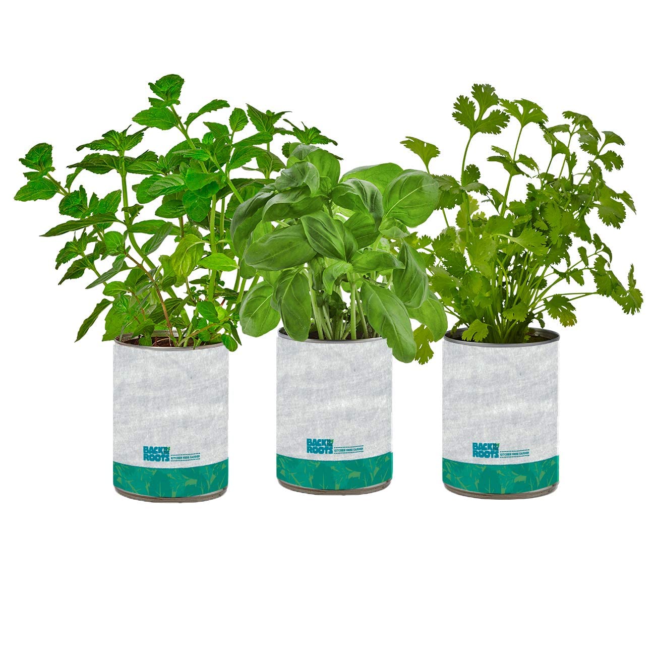 Back to the Roots New Kitchen Garden Complete Herb Kit Variety Pack of Basil, Mint, and Cilantro Seeds