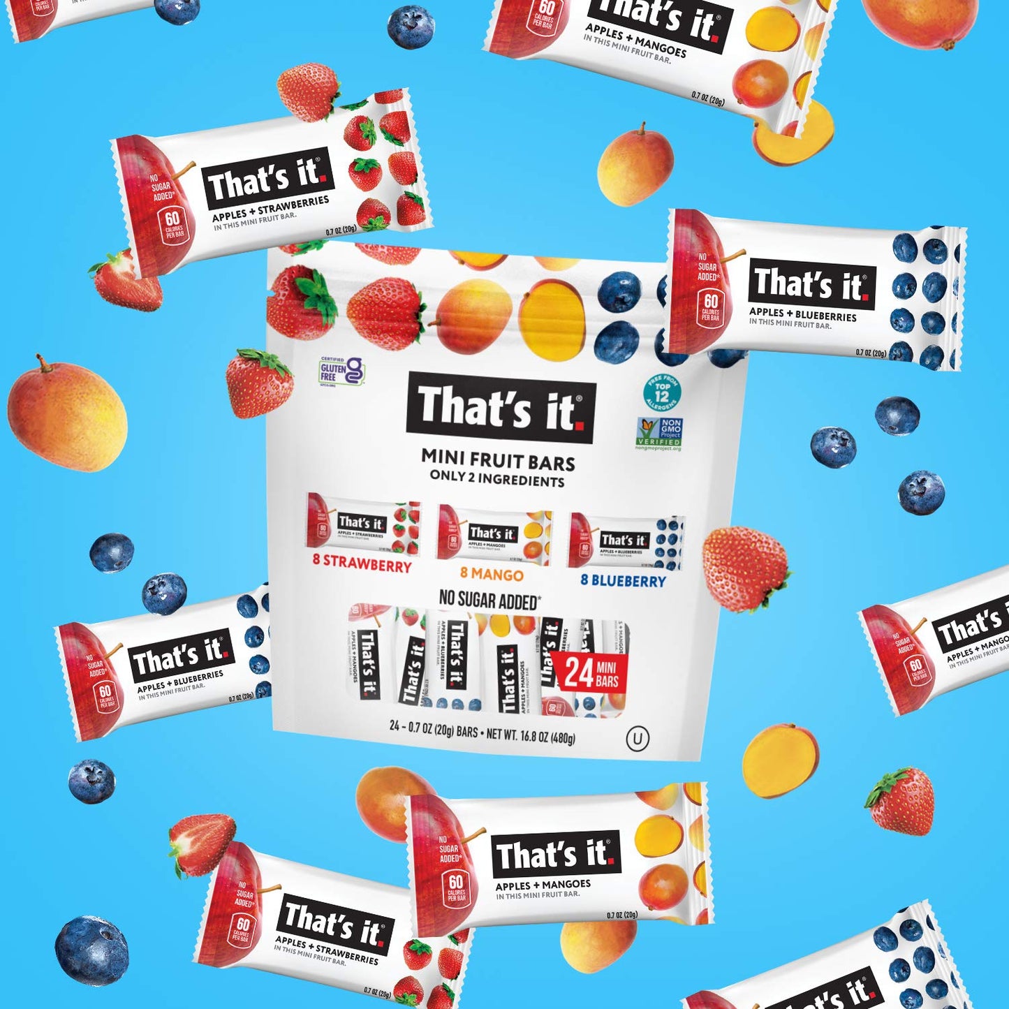 That's it. Mini Fruit Bars (Variety 24 Pack) No Sugar Added, Plant-Based, Vegan & Gluten Free, Breakfast Bar, Paleo, for Children & Adults, Non GMO, Fiber (8 Blueberry, 8 Strawberry, 8 Mango)