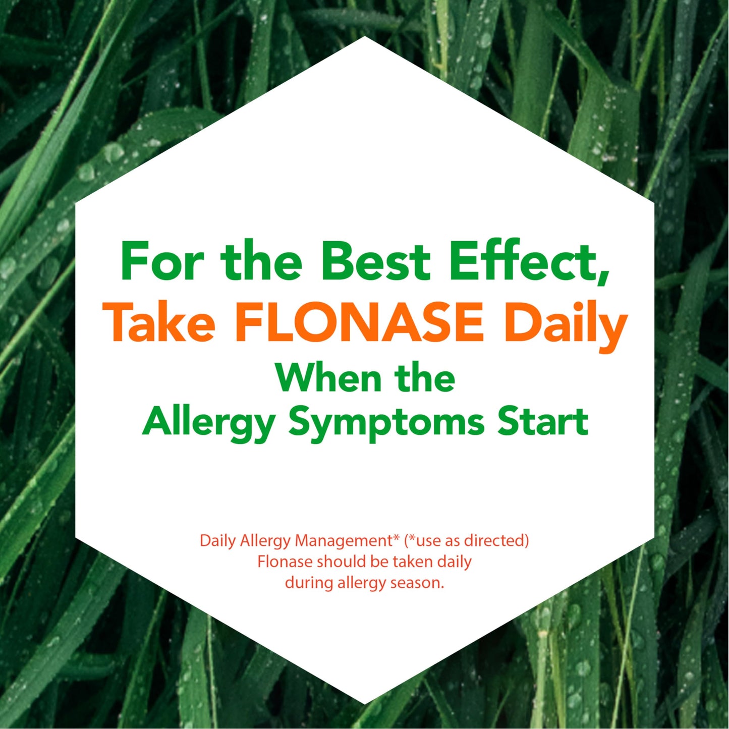 Flonase Allergy Relief Nasal Spray, 24 Hour Non Drowsy Allergy Medicine, Metered Nasal Spray - 144 Sprays (Pack of 2) + Pack of Tissues- Fall and Seasonal Allergy Relief