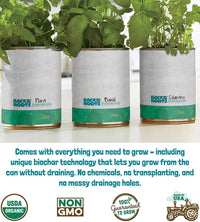 Back to the Roots New Kitchen Garden Complete Herb Kit Variety Pack of Basil, Mint, and Cilantro Seeds