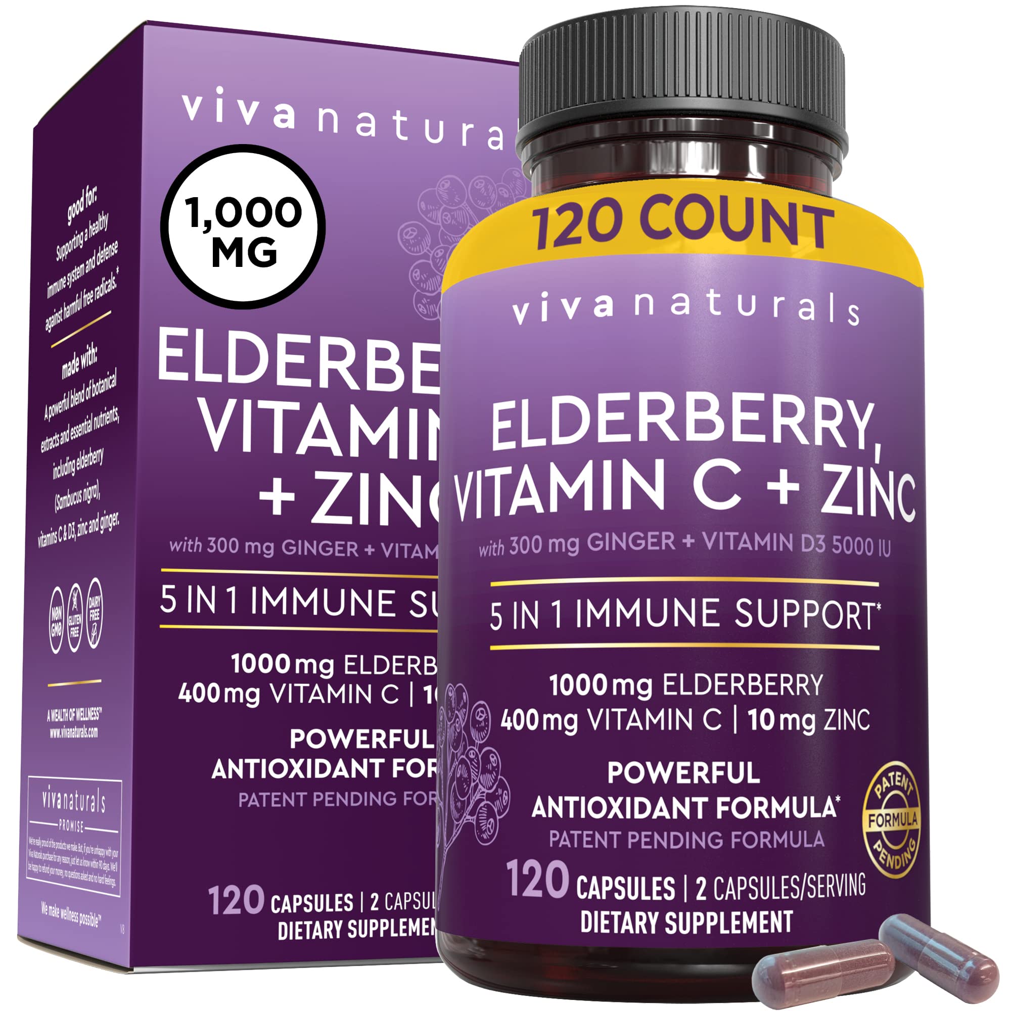 Viva Naturals Elderberry with Vitamin C and Zinc for Adults - 5 in 1 Sambucus Black Elderberry Capsules with Vitamin D3 5000 IU, Elderberries Immune Support Supplement 2 Months Supply Pills