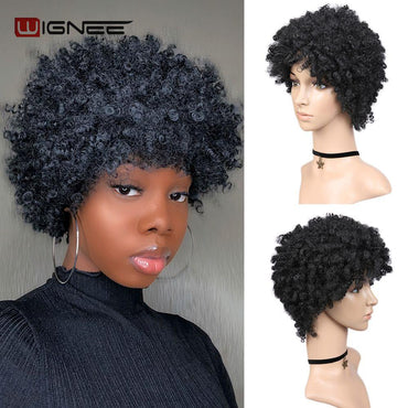 Wignee Short Hair Synthetic Wigs Afro Kinky Curly Heat Resistant for Women Mixed Brown Cosplay African Hairstyles Daily Hair Wig