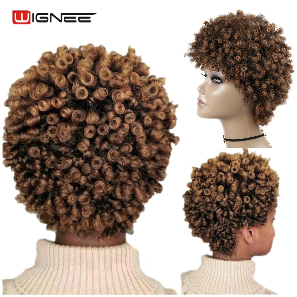 Wignee Short Hair Synthetic Wigs Afro Kinky Curly Heat Resistant for Women Mixed Brown Cosplay African Hairstyles Daily Hair Wig