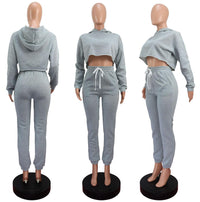 Casual Thick Fleece Tracksuit Women Jogger 2020 Autumn Winter Drawstring Long Sleeve Crop Top Sweatpants Sweatsuit Two Piece Set