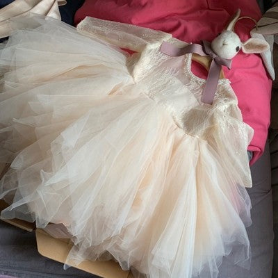Champagne Tulle Newborn Baby Girls Baptism Dress 1st Birthday Newborn –  Mega Mart Center