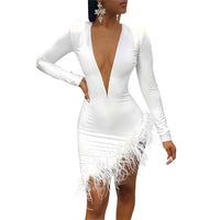 Sexy Women Spring Winter Mini Dress 2020 V-Neck Mesh Feather Patchwork Sexy Night Club