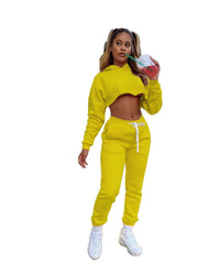 Casual Thick Fleece Tracksuit Women Jogger 2020 Autumn Winter Drawstring Long Sleeve Crop Top Sweatpants Sweatsuit Two Piece Set