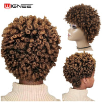 Wignee Short Hair Synthetic Wigs Afro Kinky Curly Heat Resistant for Women Mixed Brown Cosplay African Hairstyles Daily Hair Wig